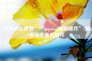 玩家辅助神器：“wepoker辅助插件”(原来确实是有插件