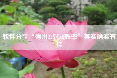 软件分享“德州22对ak胜率	”其实确实有挂