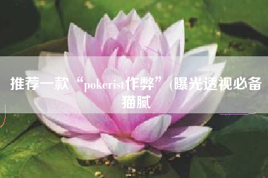 推荐一款“pokerist作弊”(曝光透视必备猫腻