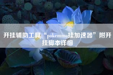 开挂辅助工具“pokemmo挂加速器”附开挂脚本详细
