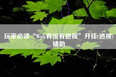 玩家必读“Wpk有没有透视	”开挂(透视)辅助