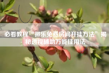 必看教程“微乐免费房间开挂方法”揭秘透视辅助万能挂用法 必看教程“微乐免费房间开挂方法”揭秘透视辅助万能挂用法