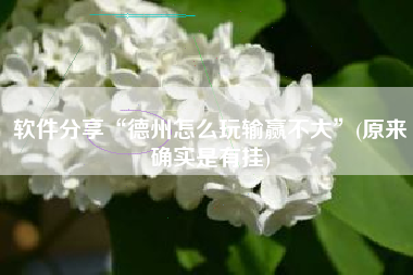 软件分享“德州怎么玩输赢不大”(原来确实是有挂)