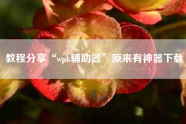 教程分享“wpk辅助器”原来有神器下载