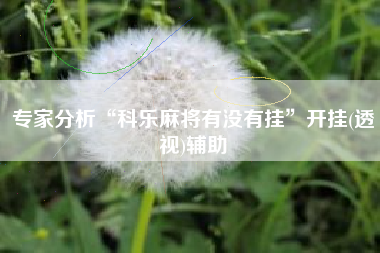 专家分析“科乐麻将有没有挂	”开挂(透视)辅助