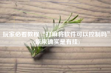 玩家必看教程“打麻将软件可以控制吗”(原来确实是有挂)