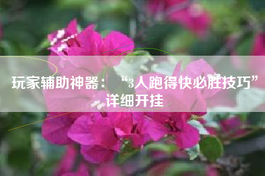 玩家辅助神器：“3人跑得快必胜技巧”详细开挂