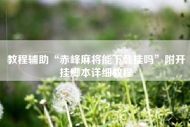 教程辅助“赤峰麻将能下载挂吗”附开挂脚本详细教程