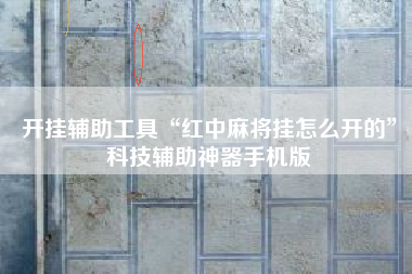 开挂辅助工具“红中麻将挂怎么开的”科技辅助神器手机版