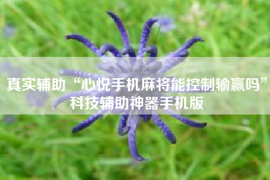 真实辅助“心悦手机麻将能控制输赢吗”科技辅助神器手机版
