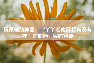 玩家辅助神器：“丫丫湖南麻将有没有挂”辅助器 - 实时智能