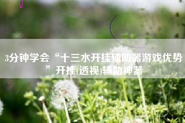 3分钟学会“十三水开挂辅助器游戏优势”开挂(透视)辅助神器
