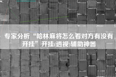 专家分析“哈林麻将怎么看对方有没有开挂”开挂(透视)辅助神器