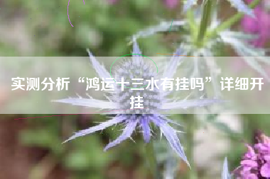 实测分析“鸿运十三水有挂吗”详细开挂