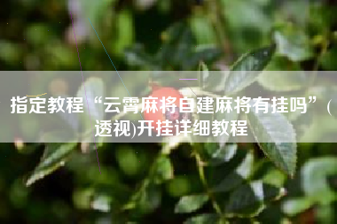 指定教程“云霄麻将自建麻将有挂吗”(透视)开挂详细教程