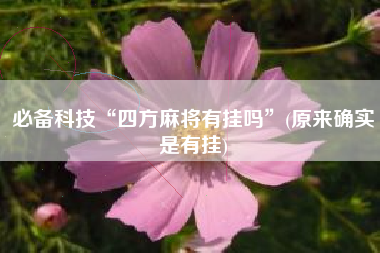 必备科技“四方麻将有挂吗”(原来确实是有挂)