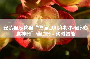 安装程序教程“微信四川麻将小程序必赢神器”辅助器 - 实时智能