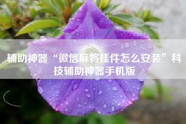 辅助神器“微信麻将挂件怎么安装	”科技辅助神器手机版