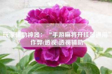 玩家辅助神器：“手游麻将开挂器通用”作弊(透视)透视辅助