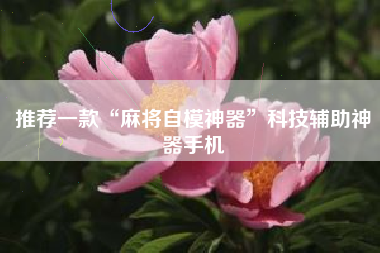 推荐一款“麻将自模神器”科技辅助神器手机