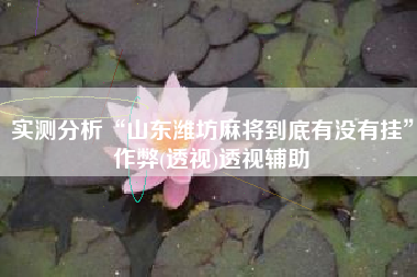 实测分析“山东潍坊麻将到底有没有挂”作弊(透视)透视辅助