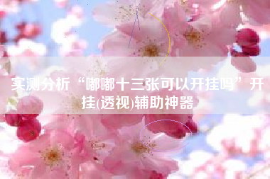 实测分析“嘟嘟十三张可以开挂吗	”开挂(透视)辅助神器