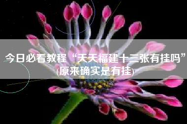 今日必看教程“天天福建十三张有挂吗”(原来确实是有挂)