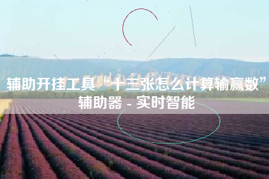 辅助开挂工具“十三张怎么计算输赢数	”辅助器 - 实时智能