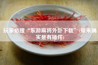 玩家必搜“东游麻将外卦下载”(原来确实是有插件)