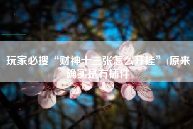 玩家必搜“财神十三张怎么开挂”(原来确实是有插件