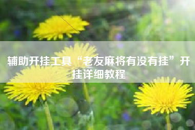 辅助开挂工具“老友麻将有没有挂”开挂详细教程