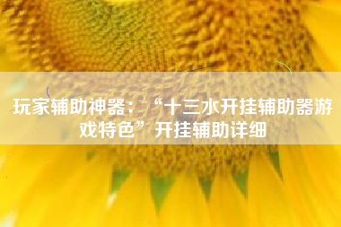 玩家辅助神器：“十三水开挂辅助器游戏特色”开挂辅助详细