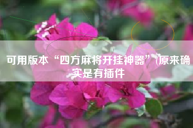 可用版本“四方麻将开挂神器”(原来确实是有插件