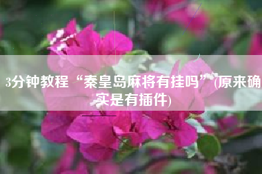 3分钟教程“秦皇岛麻将有挂吗”(原来确实是有插件)