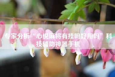 专家分析“心悦麻将有挂吗好用吗”科技辅助神器手机 专家分析“心悦麻将有挂吗好用吗”科技辅助神器手机