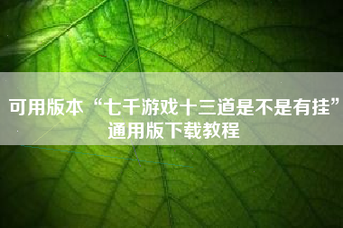 可用版本“七千游戏十三道是不是有挂”通用版下载教程