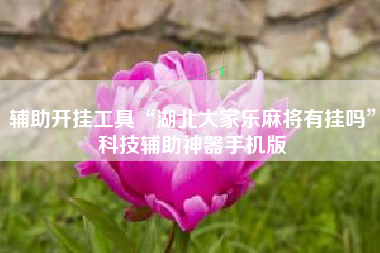 辅助开挂工具“湖北大家乐麻将有挂吗	”科技辅助神器手机版