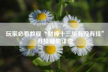 玩家必看教程“财神十三张有没有挂”开挂辅助详细