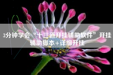 3分钟学会“十三道开挂辅助软件”开挂辅助脚本+详细开挂