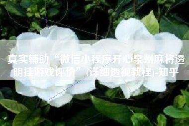 真实辅助“微信小程序开心泉州麻将透明挂游戏评价”(详细透视教程)-知乎