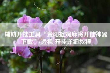 辅助开挂工具“贵阳捉鸡麻将开挂神器下载”(透视)开挂详细教程