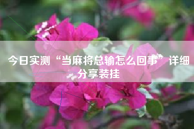 今日实测“当麻将总输怎么回事	”详细分享装挂