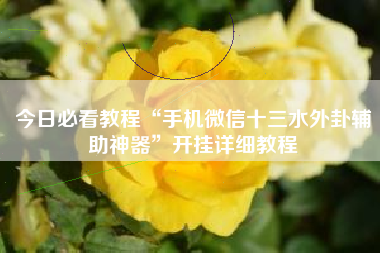 今日必看教程“手机微信十三水外卦辅助神器	”开挂详细教程