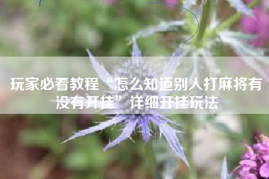 玩家必看教程“怎么知道别人打麻将有没有开挂”详细开挂玩法