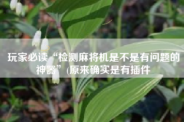 玩家必读“检测麻将机是不是有问题的神器	”(原来确实是有插件