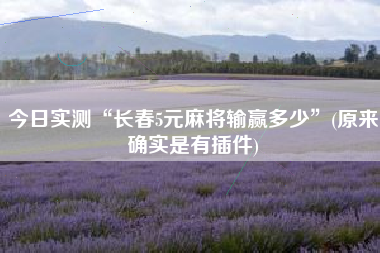 今日实测“长春5元麻将输赢多少”(原来确实是有插件)