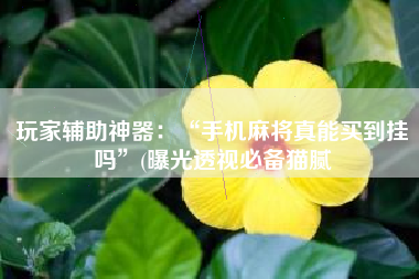 玩家辅助神器：“手机麻将真能买到挂吗	”(曝光透视必备猫腻