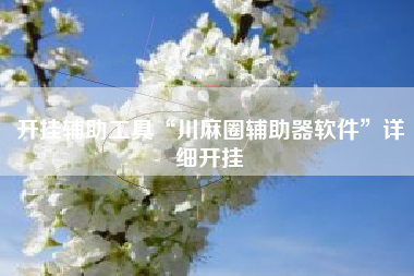 开挂辅助工具“川麻圈辅助器软件”详细开挂