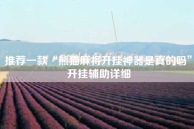 推荐一款“熊猫麻将开挂神器是真的吗”开挂辅助详细