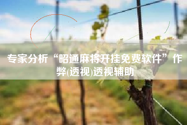 专家分析“昭通麻将开挂免费软件	”作弊(透视)透视辅助